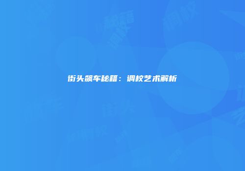 街头飙车秘籍：调校艺术解析