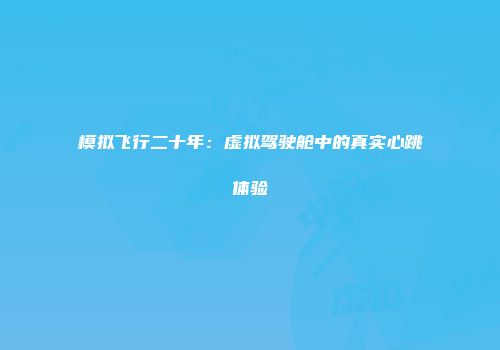 模拟飞行二十年：虚拟驾驶舱中的真实心跳体验