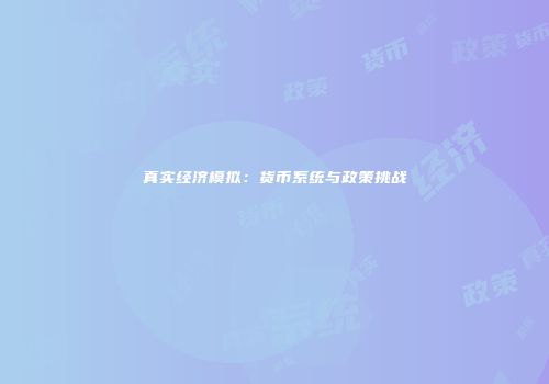 真实经济模拟：货币系统与政策挑战