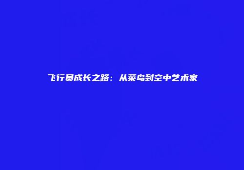 飞行员成长之路：从菜鸟到空中艺术家