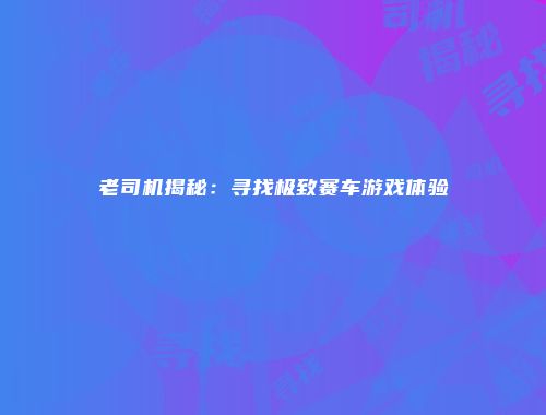 老司机揭秘:寻找极致赛车游戏体验