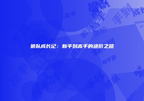 狼队成长记：新手到高手的进阶之路