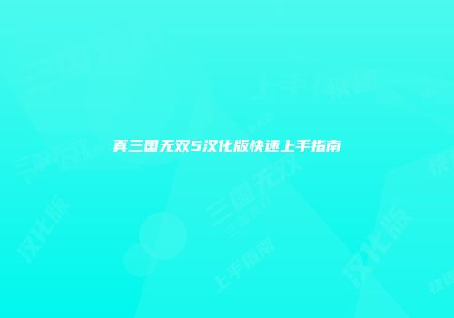 真三国无双5汉化版快速上手指南