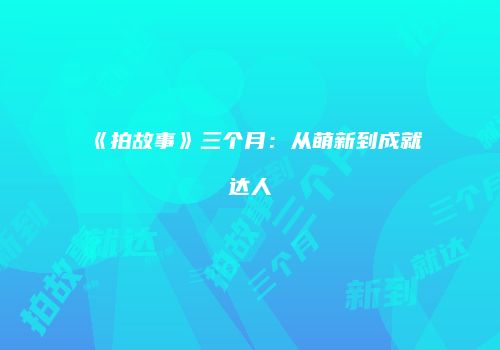 《拍故事》三个月：从萌新到成就达人