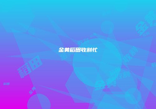 金黄稻田收割忙