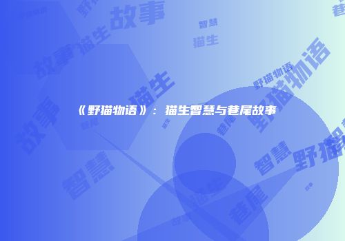 《野猫物语》：猫生智慧与巷尾故事