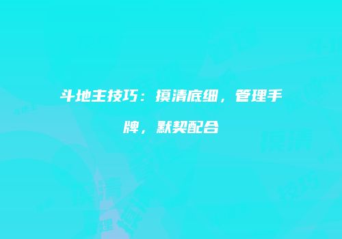 斗地主技巧：摸清底细，管理手牌，默契配合