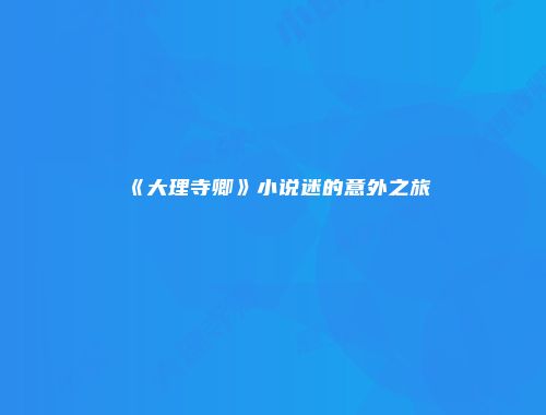 《大理寺卿》小说迷的意外之旅