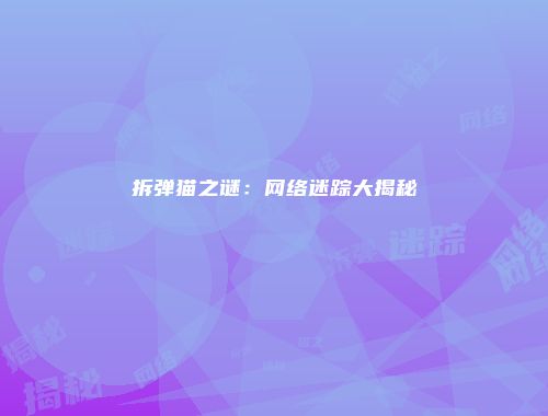 拆弹猫之谜:网络迷踪大揭秘