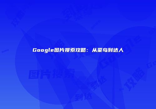 Google图片搜索攻略:从菜鸟到达人