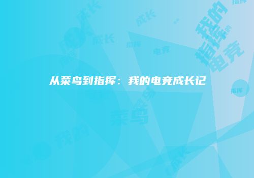 从菜鸟到指挥:我的电竞成长记