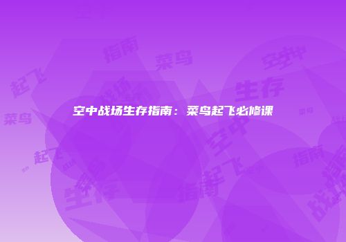空中战场生存指南：菜鸟起飞必修课