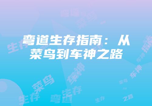 弯道生存指南：从菜鸟到车神之路