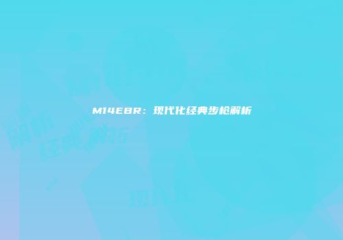 M14EBR：现代化经典步枪解析