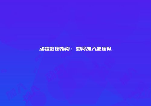 动物救援指南：如何加入救援队