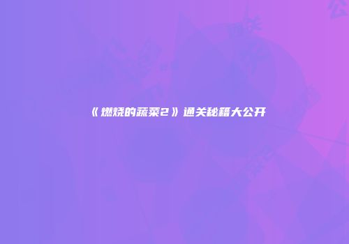 《燃烧的蔬菜2》通关秘籍大公开