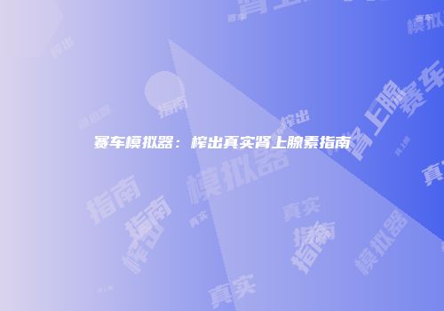 赛车模拟器：榨出真实肾上腺素指南