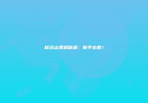 秋名山漂移秘籍：新手必看！