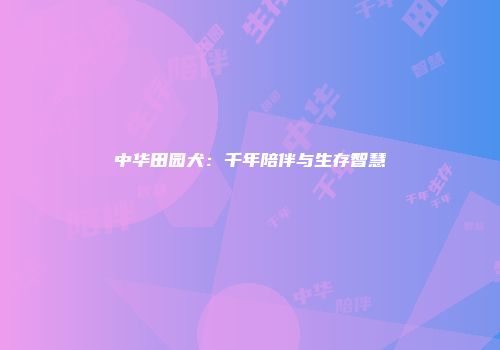 中华田园犬：千年陪伴与生存智慧