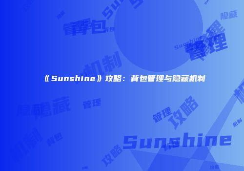 《Sunshine》攻略：背包管理与隐藏机制