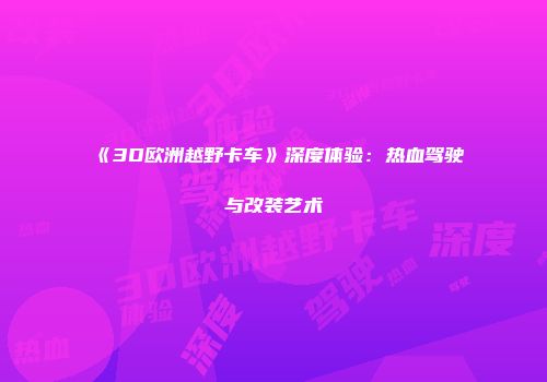 《3D欧洲越野卡车》深度体验：热血驾驶与改装艺术