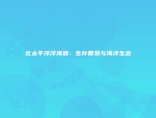 北太平洋浮海獭：生存智慧与海洋生态