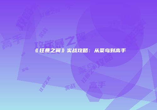 《狂暴之翼》实战攻略：从菜鸟到高手